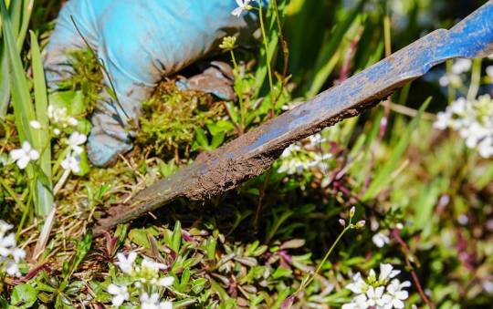 10 Best Weeding Tools for a Hobby Gardener