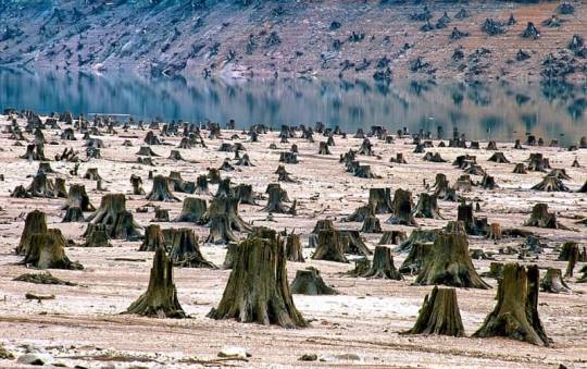 Shocking Images of Human Activity that will Make You Sad