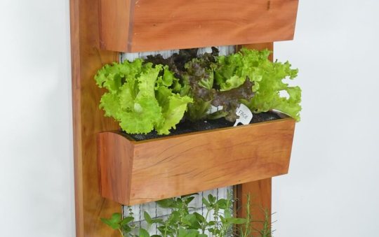 Vertical Gardening: Grow More in Less Space & in Less Time