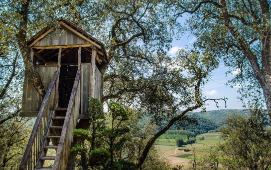 10 Simple Treehouse Ideas That Your Kids will Love!