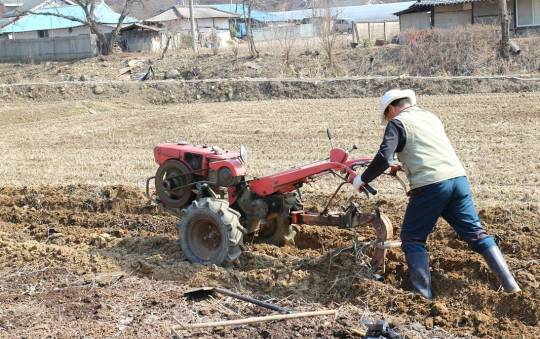 5 Best Electric Tiller for Breaking New Ground